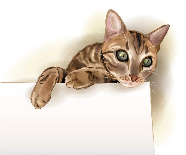 Ilustração desenhada à mão do gato com banner. Estanho aquarela —  Vetores de Stock