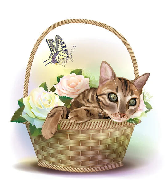 Illustration der gestromten Katze, die in einem Korb mit Rosen sitzt. — Stockvektor
