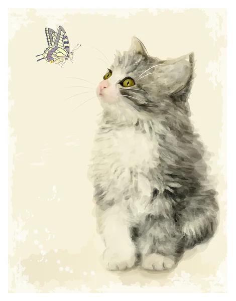 Vintage greeting card with fluffy kitten and butterfly. Imitati — Stock Vector