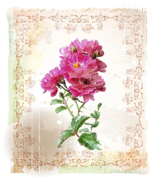 Acquerello vintage illustrazione delle rose rosa — Vettoriale Stock