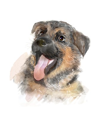 Alman çoban köpek yavrusu portresi