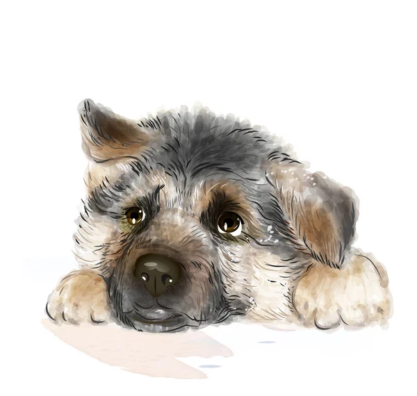 Portret van de Duitse herder pup — Stockvector