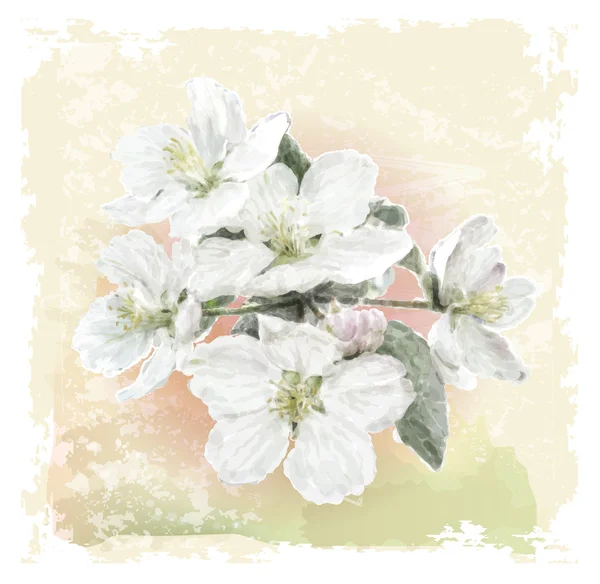 Full Bloom Royalty Free Full Bloom Vector Images Drawings Depositphotos