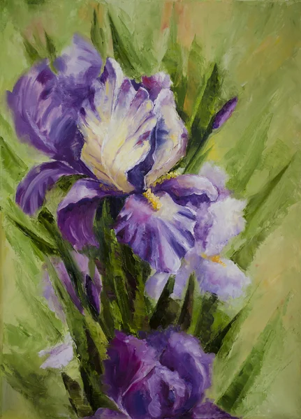 Iris bloemen — Stockfoto