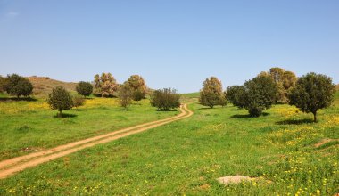 kırsal patika bir çayır haçlar