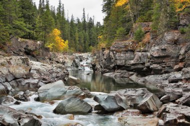 küçük havuzda soğuk sonbahar