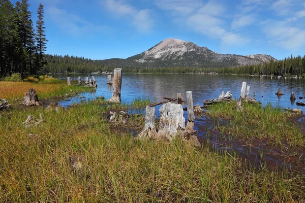 Um lago tranquilo, coberto de relva — Fotografia de Stock