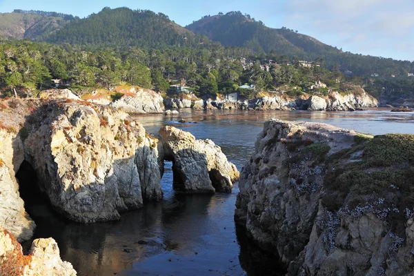 Reserve Point Lobos on the sunset — Stock Photo, Image