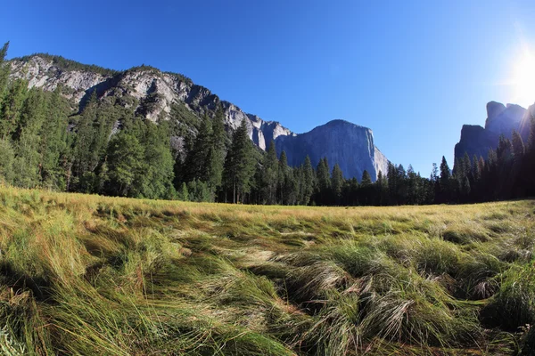 Thel glade in Yosemite park on sunrise — Stock Photo, Image