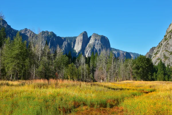 Magnifica radura a valle — Foto Stock