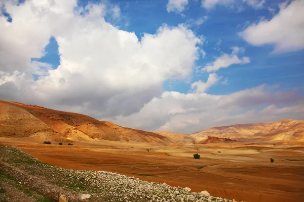Пустеля Синай вранці в грудні — стокове фото