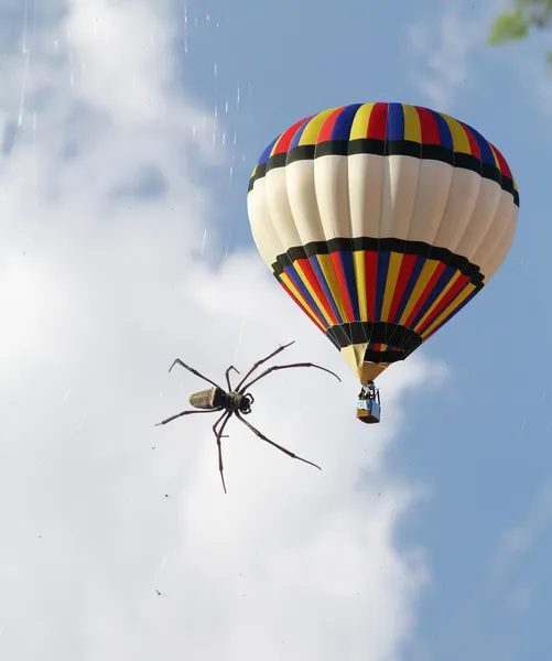 O balão de ar e uma grande aranha tropical — Fotografia de Stock