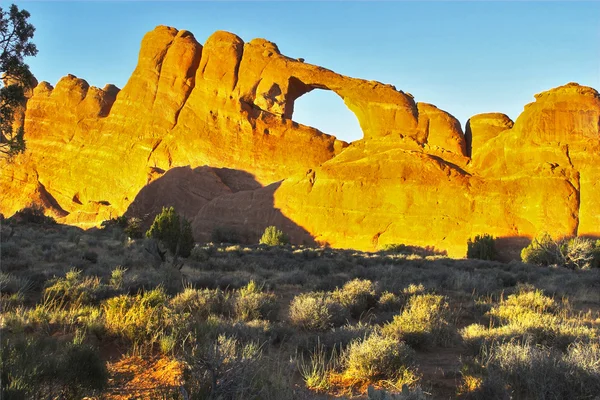 Scharfe Schatten auf einem Sonnenuntergang. — Stockfoto