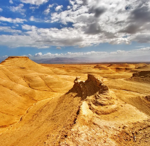 Gele woestijn. — Stockfoto