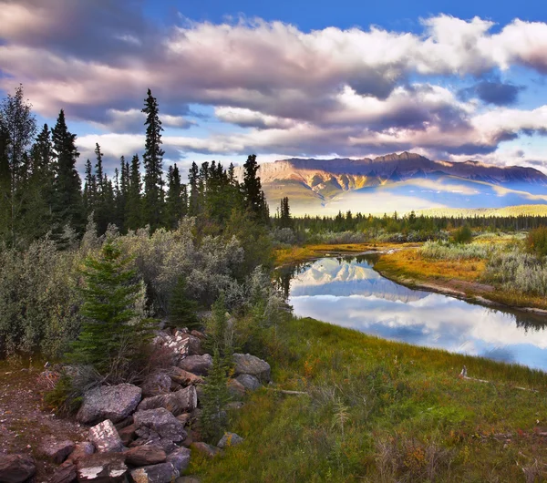 Magnífica manhã na reserva no Canadá — Fotografia de Stock