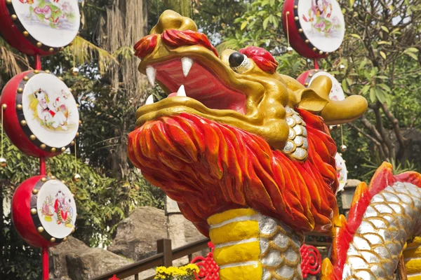 Hoofd van de bekende chinese draak — Stockfoto