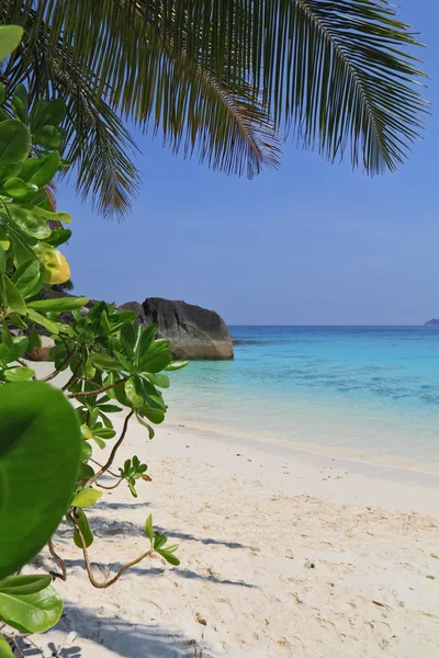 Het prachtige strand in de similan eilanden — Stockfoto
