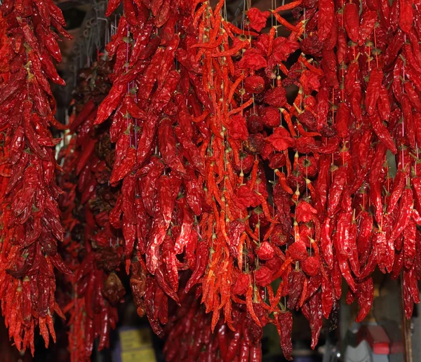 Des gousses rouges de piment fort brillent sur le soleil — Photo