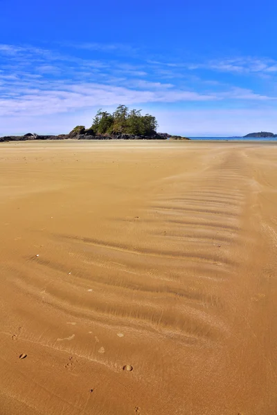 Grande plage de sable fin de l'océan — Photo