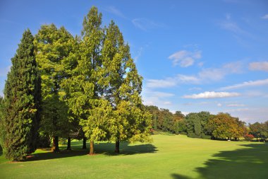 park-Bahçe peyzaj