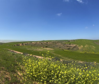 Bahar kat iyi gün ortası