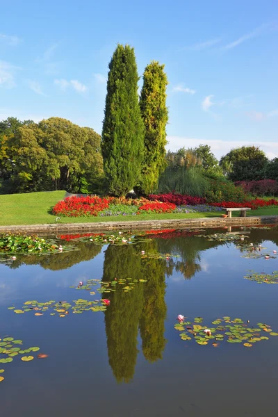 Gladde water van een vijver — Stockfoto