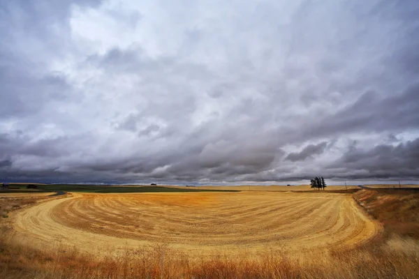 Enorme campo — Fotografia de Stock