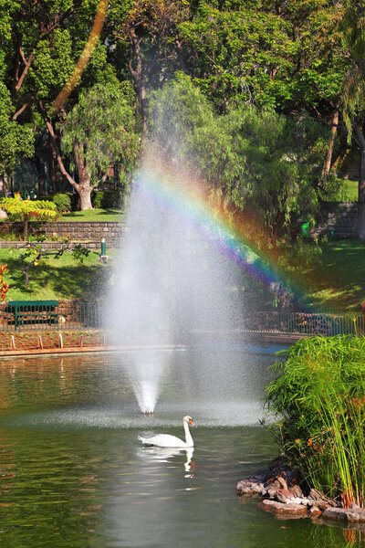 At the water fountain jets shining magnificent rainbow
