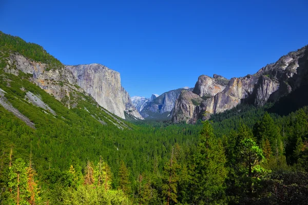 The white rocky monolith El-Captain — Stock Photo, Image