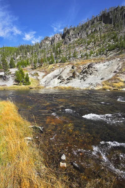 The multi-coloured river — Stock Photo, Image