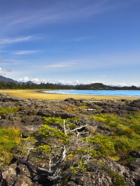 okyanus sahilinde çıkış