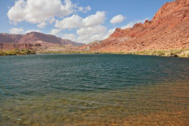 colorado Nehri'nin soğuk su