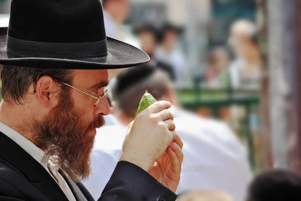 Le Juif orthodoxe au chapeau noir cueille des agrumes — Photo