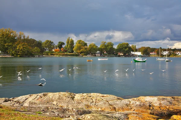 Las gaviotas vuelan por encima del paso de la isla Vancouver . — Foto de Stock