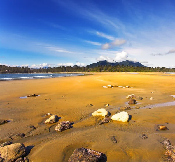 Beach Pasifik Okyanusu üzerinde taşlar — Stok fotoğraf