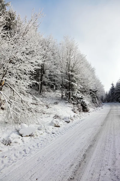 Mattina solare invernale — Foto Stock