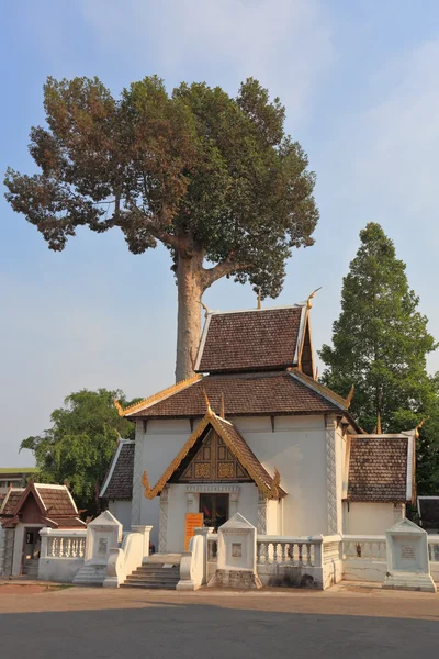 De tempel van de Boeddha — Stockfoto