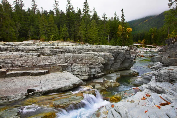 Autumn fog — Stock Photo, Image