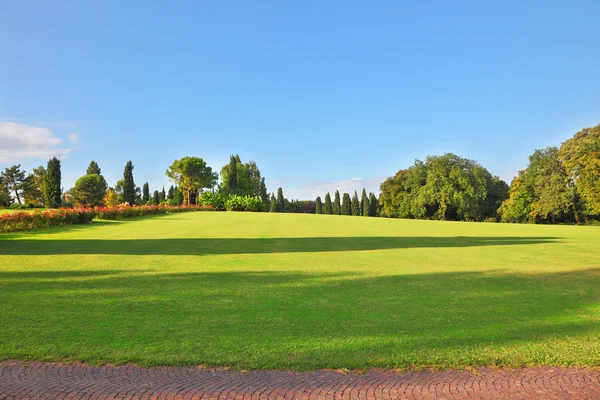 Eine große grüne Wiese — Stockfoto