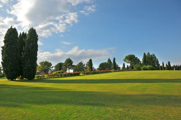 Un prato verde — Foto Stock