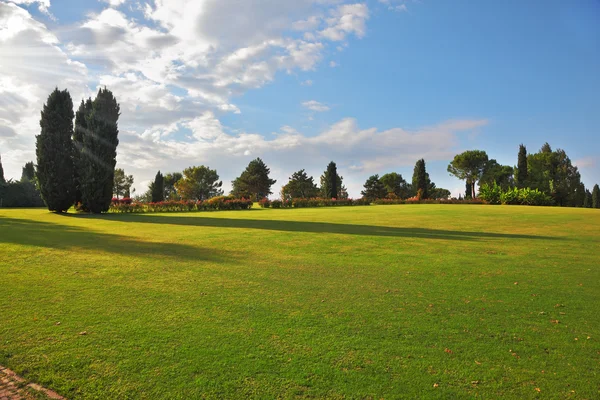 Eine große grüne Wiese im Park — Stockfoto