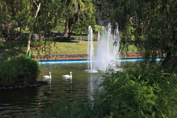 Il parco del resort — Foto Stock