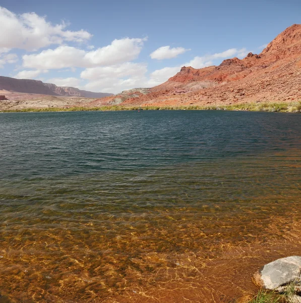 A água do rio Colorado — Fotografia de Stock