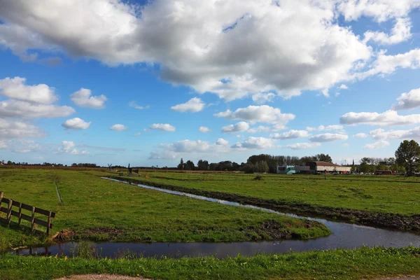 Kıyı çimenli düz kanal — Stok fotoğraf