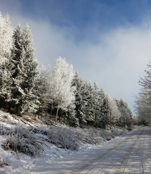 Rolled snowy road — Stock Photo, Image