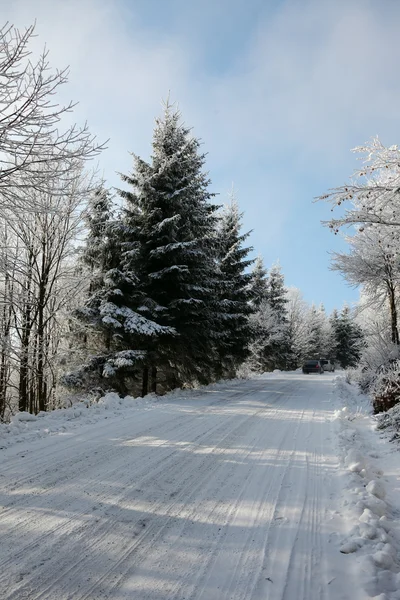 Strada invernale al legno — Foto Stock