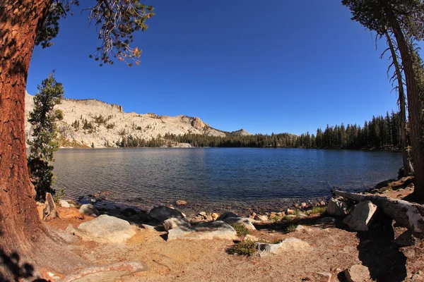 Dark blue picturesque May lake — Stock Photo, Image