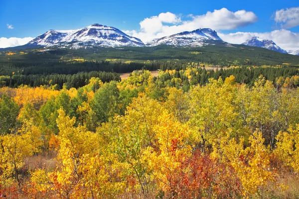 Outono suave. As árvores com folhagem amarela e vermelha — Fotografia de Stock