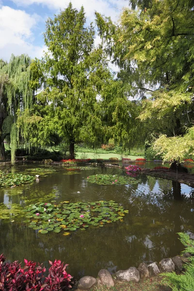 Mělký rybník a květiny — Stock fotografie