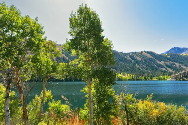 El Gulllake en el parque.Viaje a través de los EE.UU. — Foto de Stock